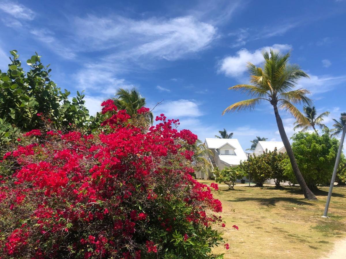 Sweet Home Sxm Baie Nettle Pieds Dans L'Eau Sandy Ground Екстериор снимка