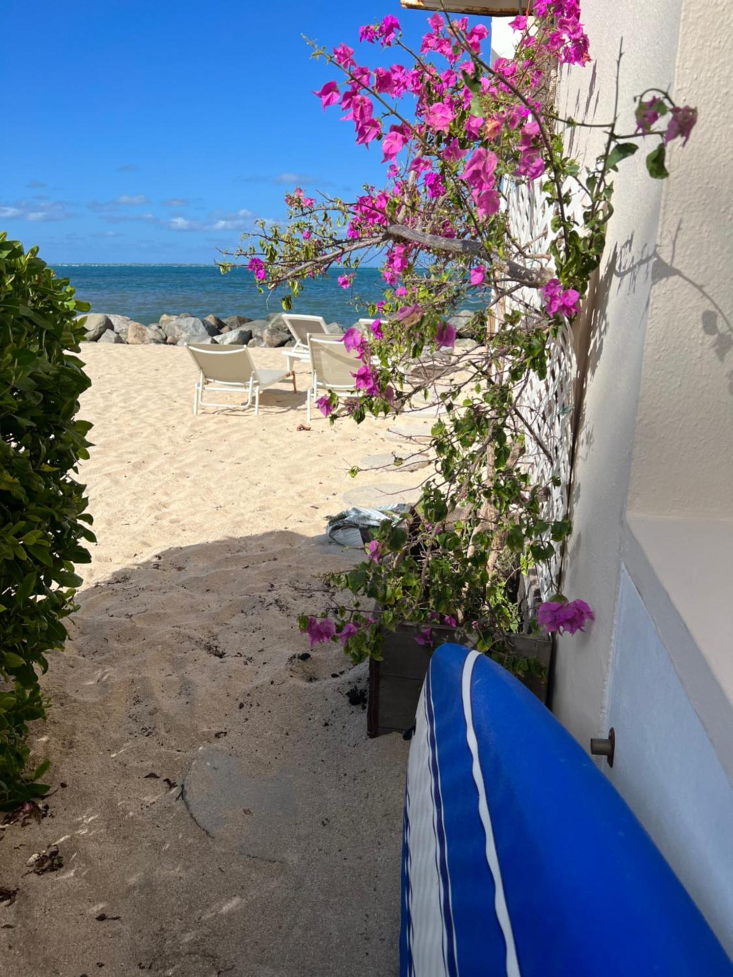 Sweet Home Sxm Baie Nettle Pieds Dans L'Eau Sandy Ground Екстериор снимка